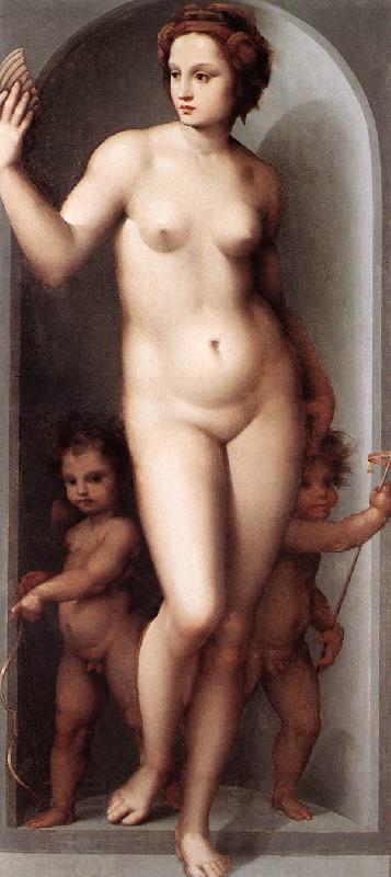 BRESCIANINO, Andrea del Venus and Two Cupids dsf China oil painting art